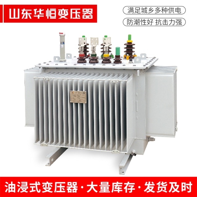 S13-10000/35法库法库法库电力变压器